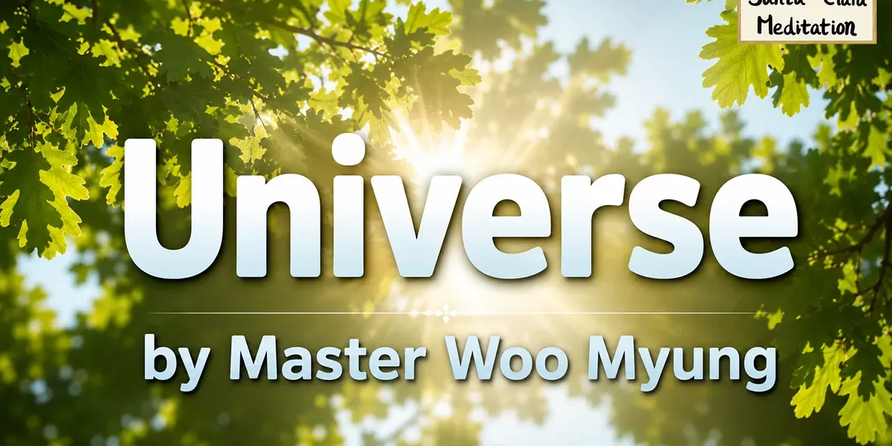 🌌 Universe: Each Being Is the Center of the Infinite | Master Woo Myung | Santa Clara Meditation
