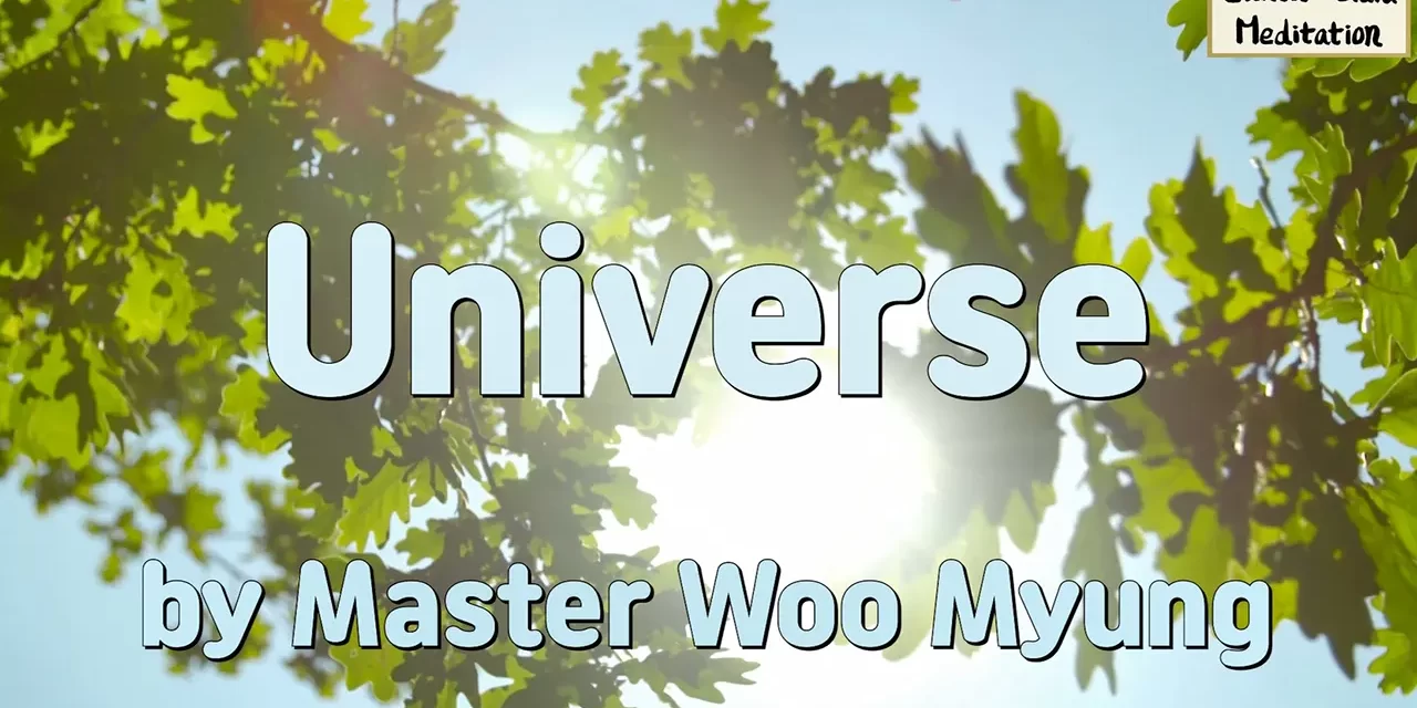 🌌 Universe: Each Being Is the Center of the Infinite | Master Woo Myung | Santa Clara Meditation