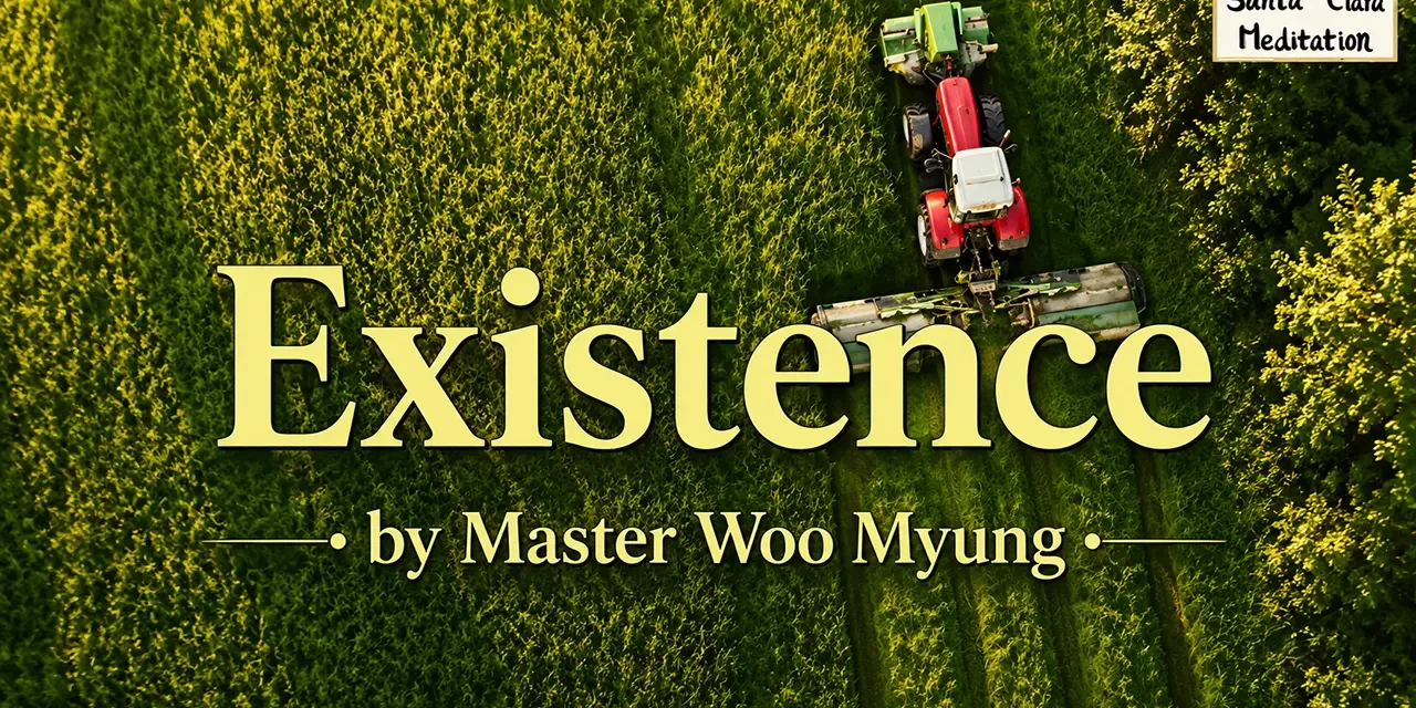 π Existence: Life Beyond the Individual Self | Master Woo Myung | Santa Clara Meditation