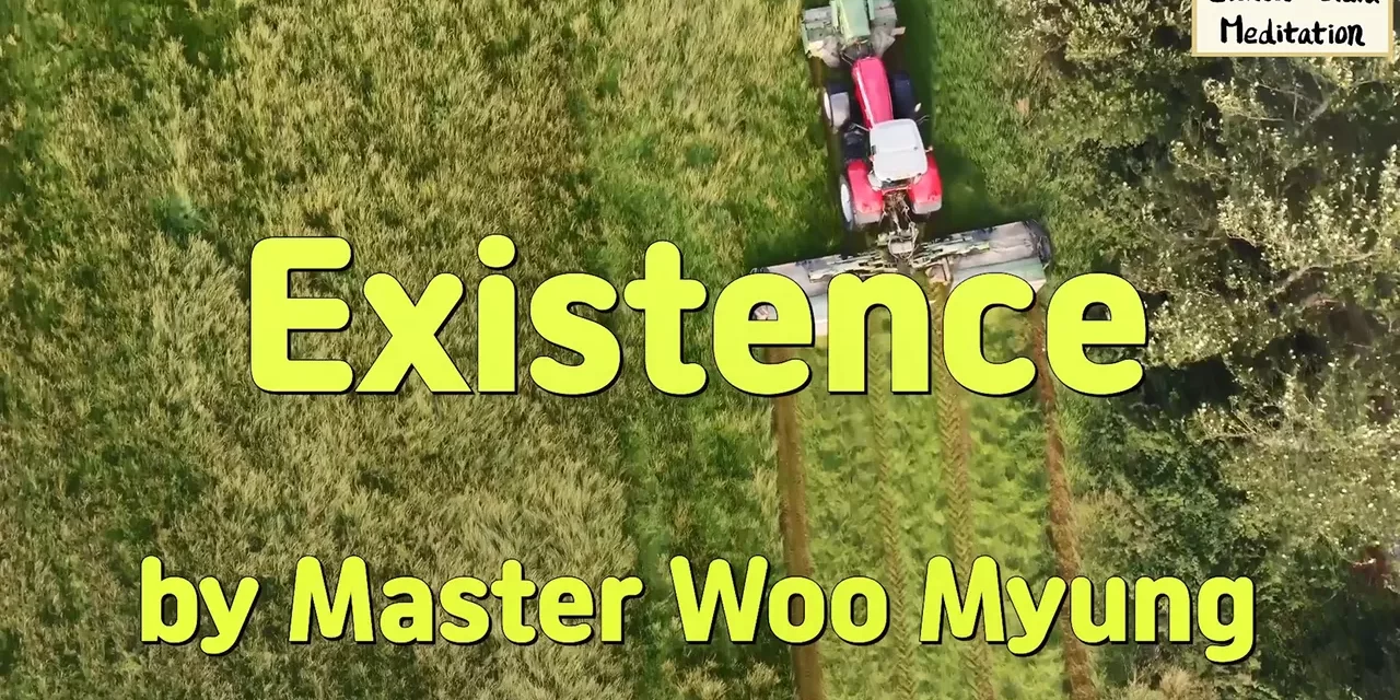 🌌 Existence: Life Beyond the Individual Self | Master Woo Myung | Santa Clara Meditation