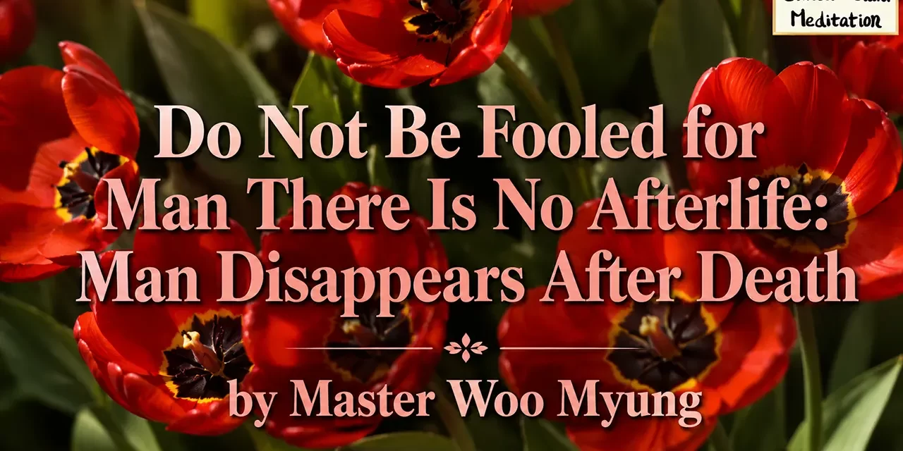 🪦 Do Not Be Fooled for Man There Is No Afterlife: Man Disappears After Death | Master Woo Myung