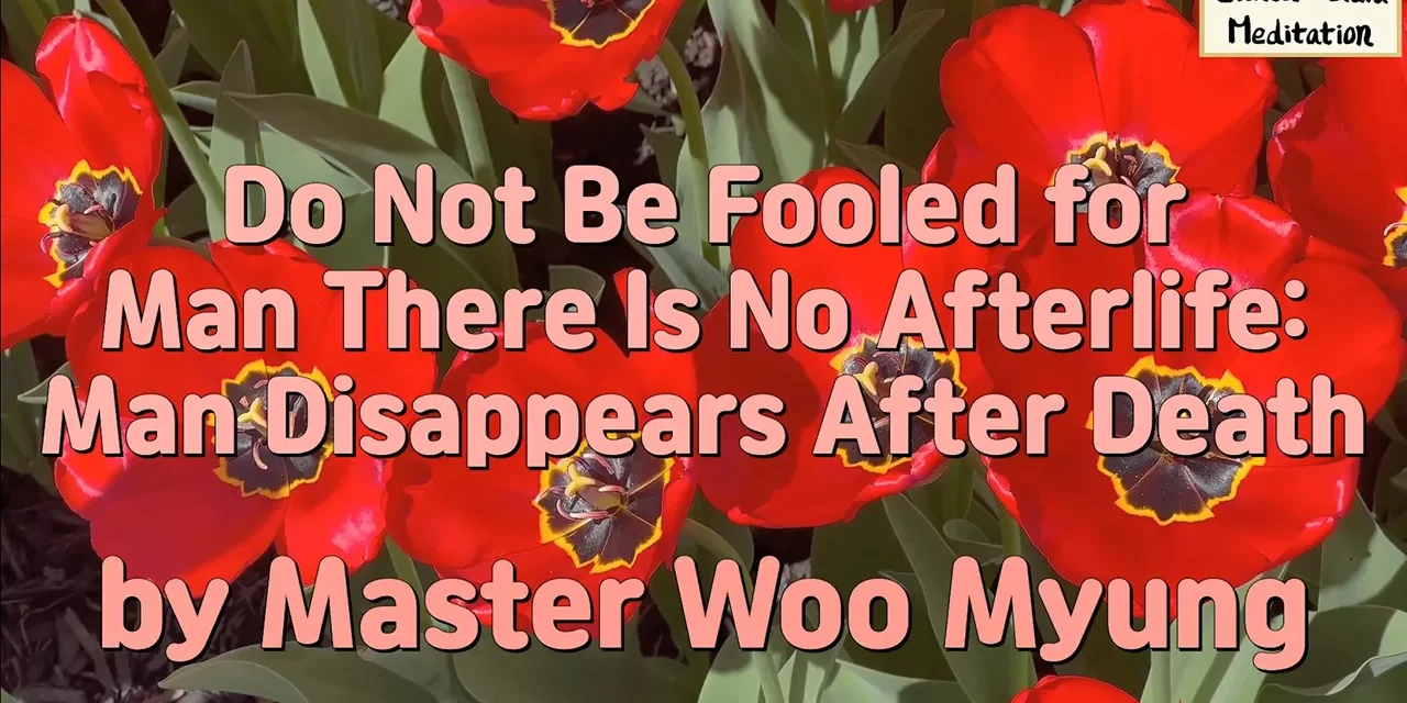 🪦 Do Not Be Fooled for Man There Is No Afterlife: Man Disappears After Death | Master Woo Myung