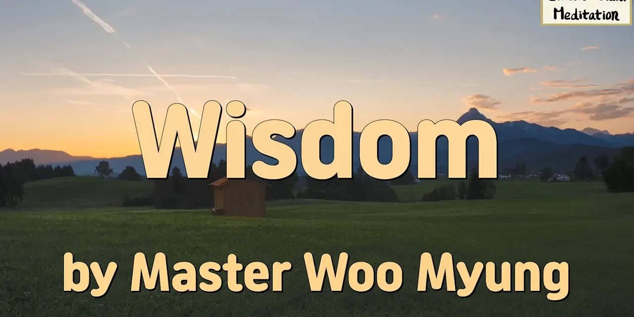 🧘‍♂️ Wisdom: The Human Mind Is Only Memory – Master Woo Myung | Santa Clara Meditation