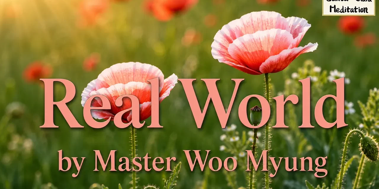 🌍 Real World: The Mind Without Attachments Is Heaven Itself | Master Woo Myung | Santa Clara Meditation
