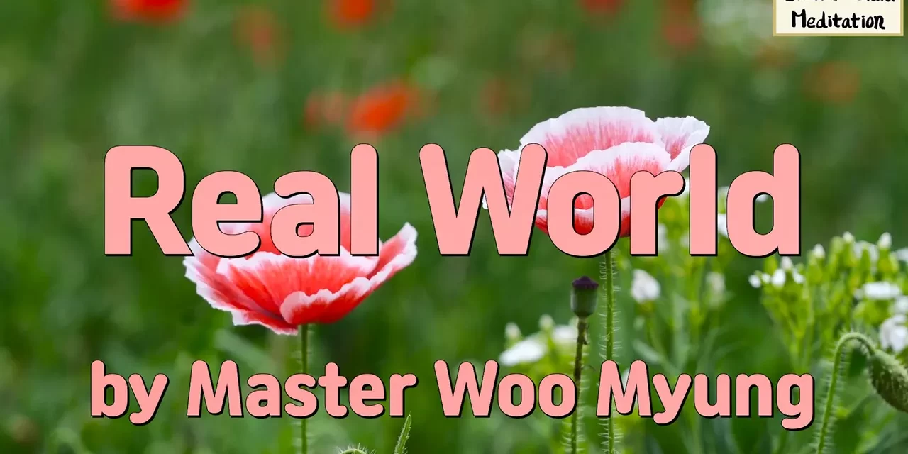 🌍 Real World: The Mind Without Attachments Is Heaven Itself | Master Woo Myung | Santa Clara Meditation
