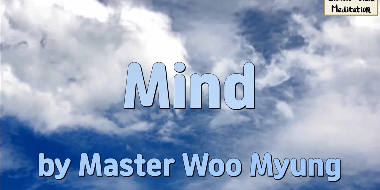 🌀 Mind: The Universe Within and the Disappearance of Self | Master Woo Myung | #1 Wall Street Journal Bestseller