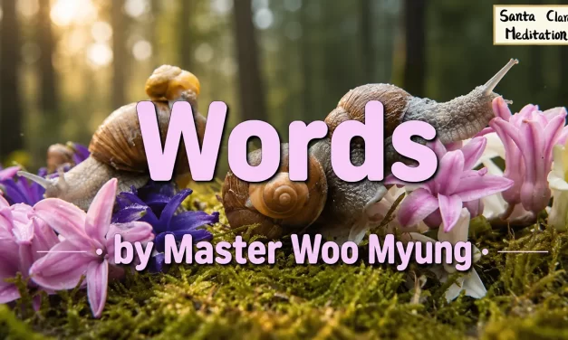 🗣️ Words: The Power to Awaken or Destroy | Master Woo Myung | Santa Clara Meditation