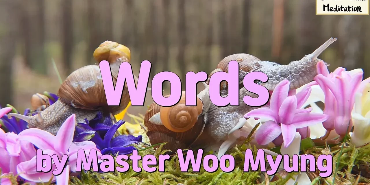 🗣️ Words: The Power to Awaken or Destroy | Master Woo Myung | Santa Clara Meditation