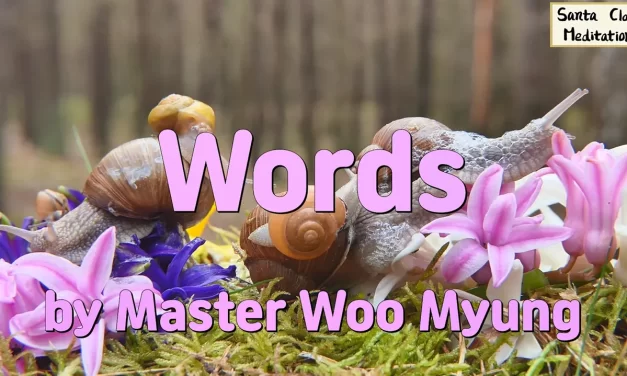 🗣️ Words: The Power to Awaken or Destroy | Master Woo Myung | Santa Clara Meditation