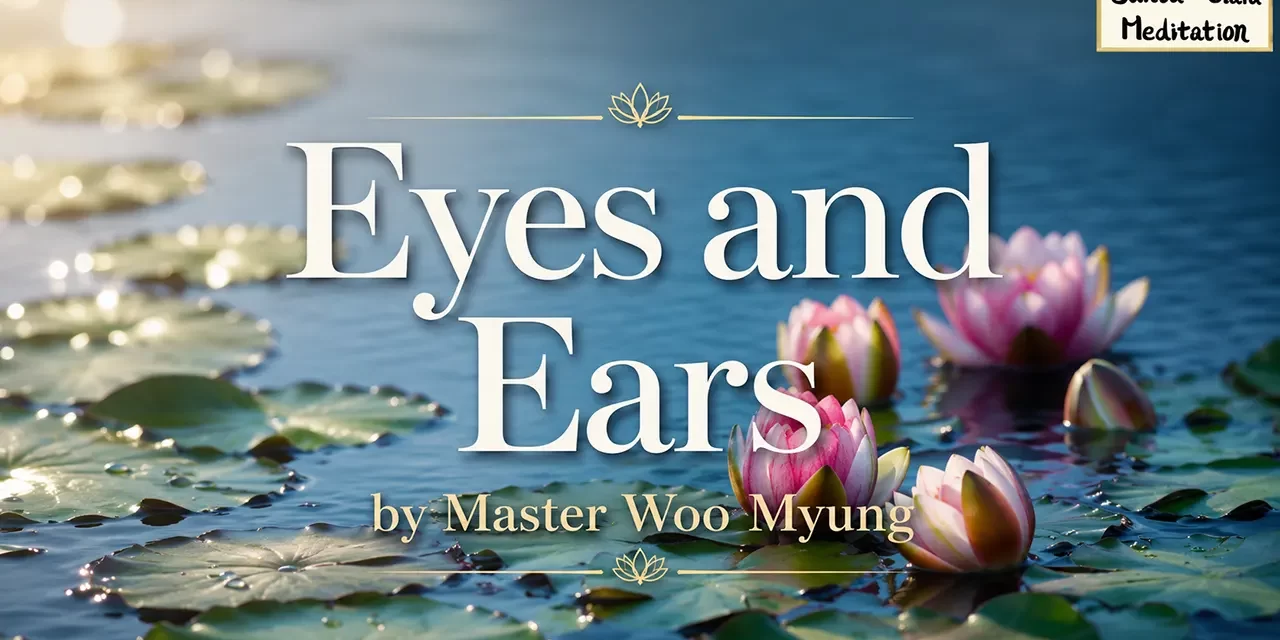 👁️🗨️ Eyes and Ears: Seeing and Hearing with an Open Heart | Master Woo Myung | Santa Clara Meditation
