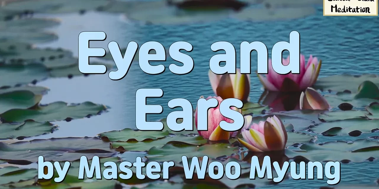 👁️‍🗨️ Eyes and Ears: Seeing and Hearing with an Open Heart | Master Woo Myung | Santa Clara Meditation