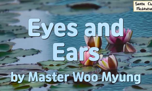 👁️‍🗨️ Eyes and Ears: Seeing and Hearing with an Open Heart | Master Woo Myung | Santa Clara Meditation