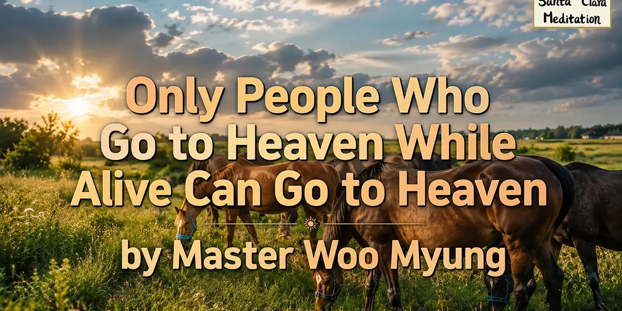 ☀️ Only People Who Go to Heaven While Alive Can Go to Heaven | Master Woo Myung | Santa Clara Meditation