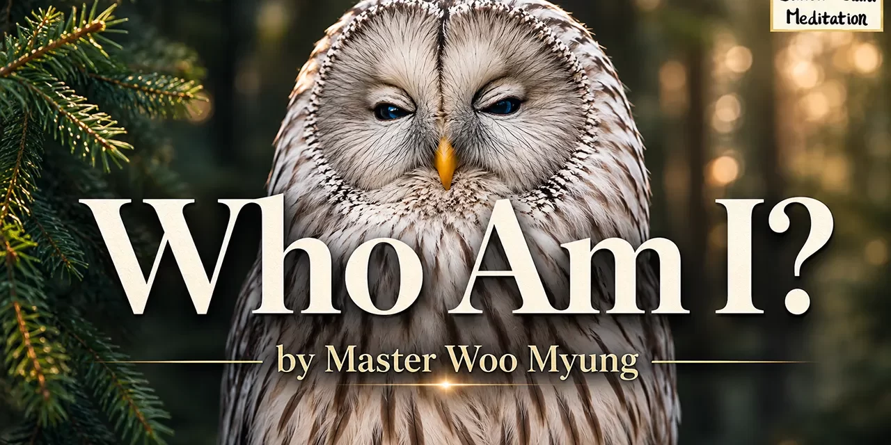 🧩 Who Am I?: Demolishing the False Self to Be Reborn as the Master of Heaven | Master Woo Myung | Santa Clara Meditation