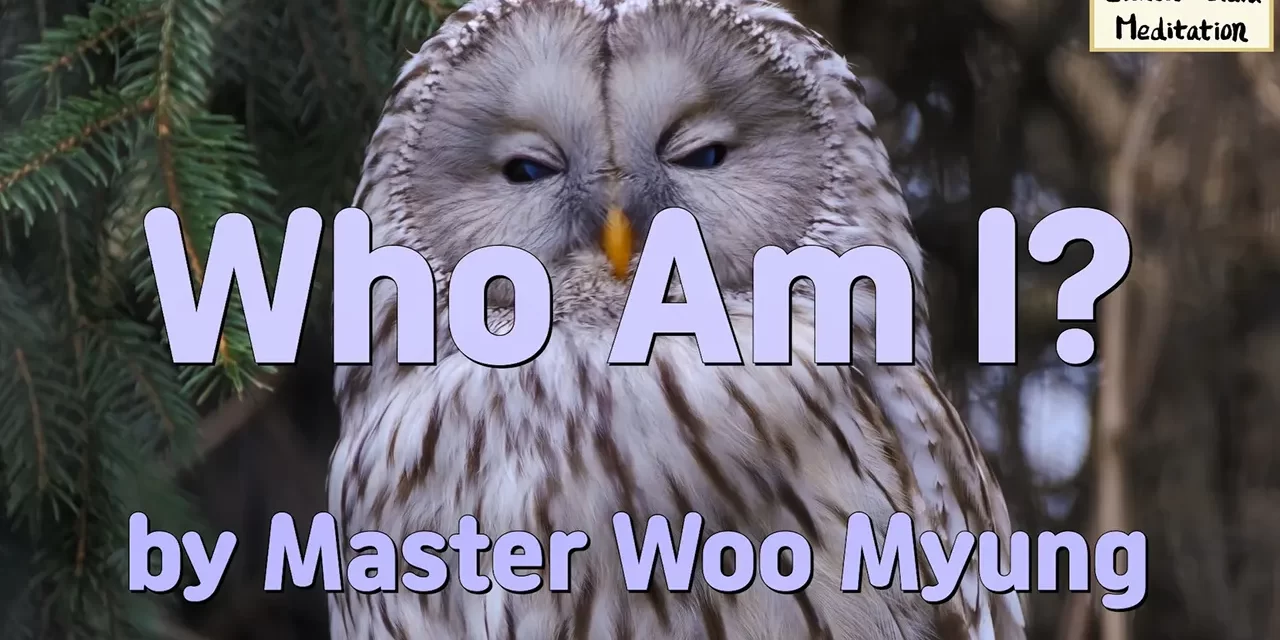 🧩 Who Am I?: Demolishing the False Self to Be Reborn as the Master of Heaven | Master Woo Myung | Santa Clara Meditation