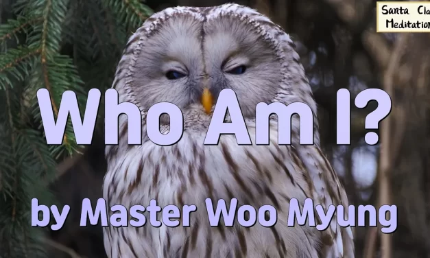 🧩 Who Am I?: Demolishing the False Self to Be Reborn as the Master of Heaven | Master Woo Myung | Santa Clara Meditation