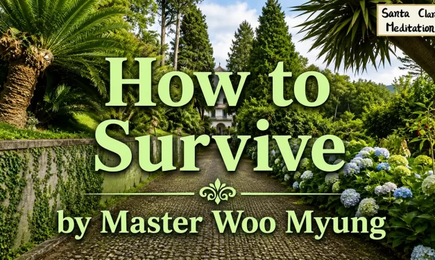 🛡️ HOW TO SURVIVE: BECOMING BIG-MINDED TO OVERCOME STRUGGLE AND THRIVE | MASTER WOO MYUNG | SANTA CLARA MEDITATION