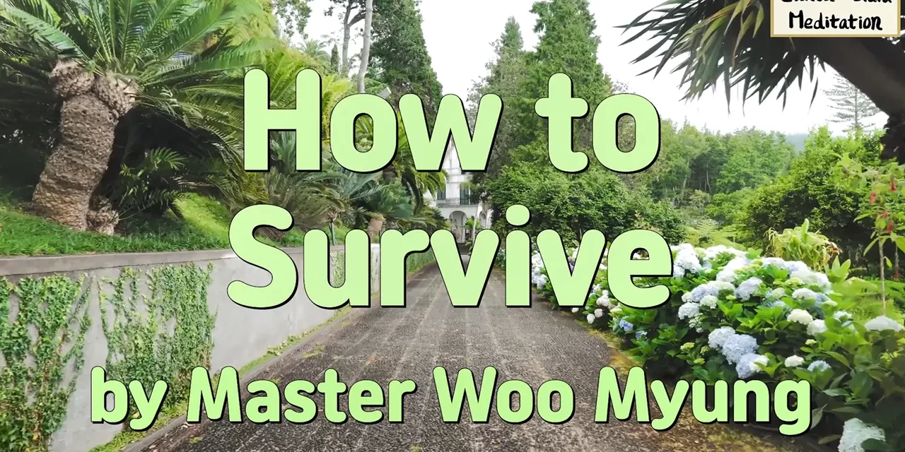 🛡️ HOW TO SURVIVE: BECOMING BIG-MINDED TO OVERCOME STRUGGLE AND THRIVE | MASTER WOO MYUNG | SANTA CLARA MEDITATION
