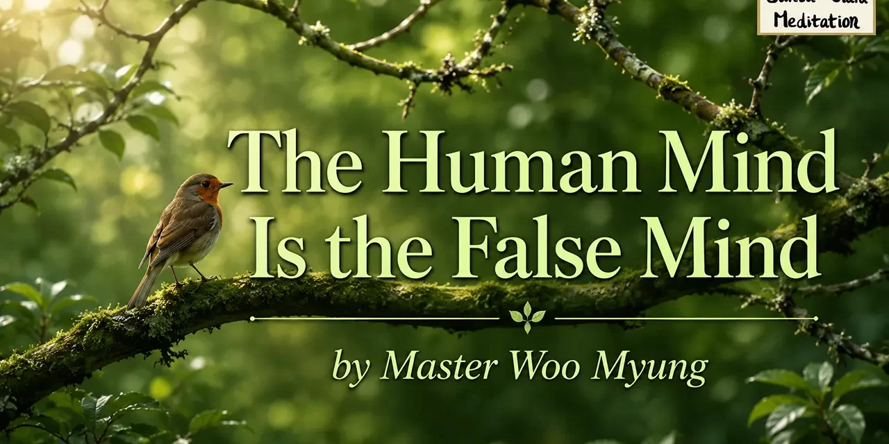 🌌 The Human Mind Is the False Mind: Illusion, Karma, and the Path to Truth | Master Woo Myung | Santa Clara Meditation