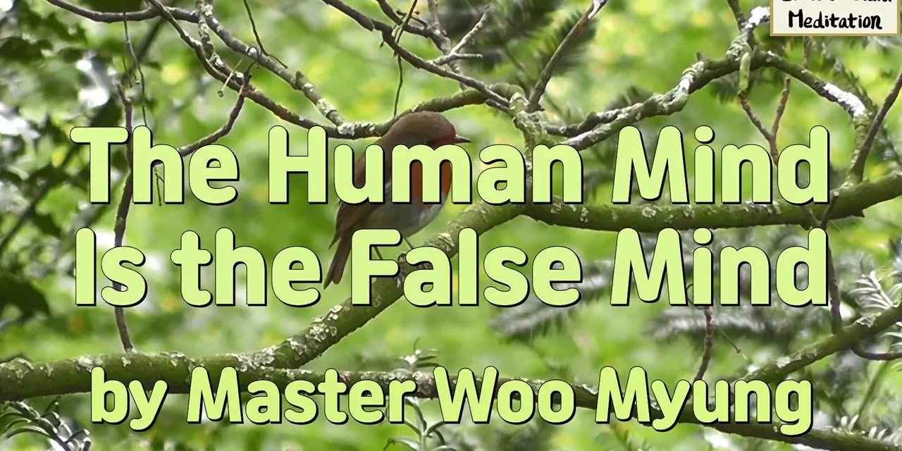 🌌 The Human Mind Is the False Mind: Illusion, Karma, and the Path to Truth | Master Woo Myung | Santa Clara Meditation