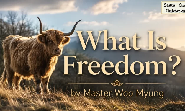 🌌 What Is Freedom?: true freedom nirvana mind liberation | Master Woo Myung | Santa Clara Meditation