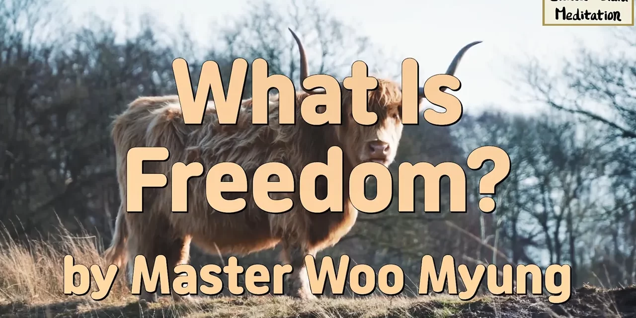 🌌 What Is Freedom?: true freedom nirvana mind liberation | Master Woo Myung | Santa Clara Meditation