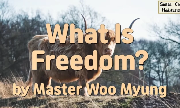 🌌 What Is Freedom?: true freedom nirvana mind liberation | Master Woo Myung | Santa Clara Meditation