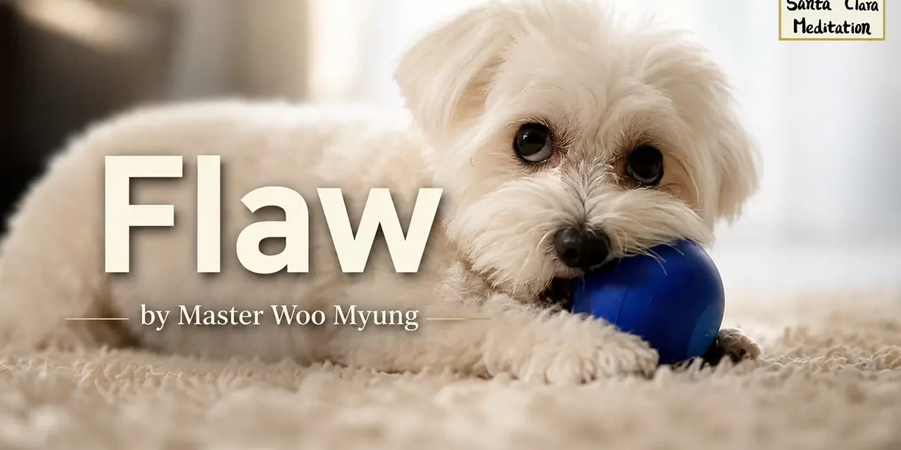 π FLAW: HOW HUMAN DESIRE CLOUDS THE TRUTH OF THE UNIVERSE | MASTER WOO MYUNG | SANTA CLARA MEDITATION