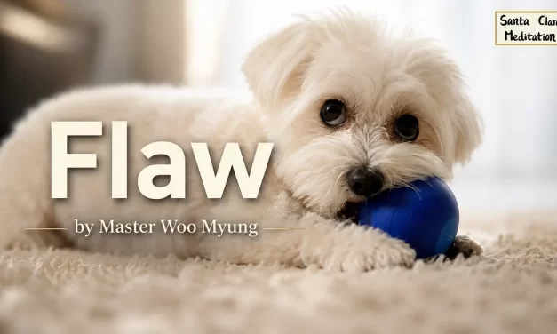 🌠 FLAW: HOW HUMAN DESIRE CLOUDS THE TRUTH OF THE UNIVERSE | MASTER WOO MYUNG | SANTA CLARA MEDITATION