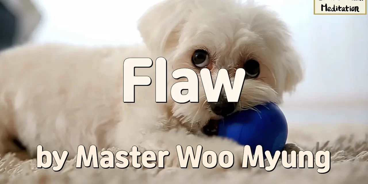 🌠 FLAW: HOW HUMAN DESIRE CLOUDS THE TRUTH OF THE UNIVERSE | MASTER WOO MYUNG | SANTA CLARA MEDITATION