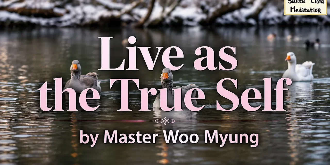 🌤️ LIVE AS THE TRUE SELF: ALIGNING WITH NATURE AND TRUTH BEYOND JUDGMENT | MASTER WOO MYUNG | SANTA CLARA MEDITATION