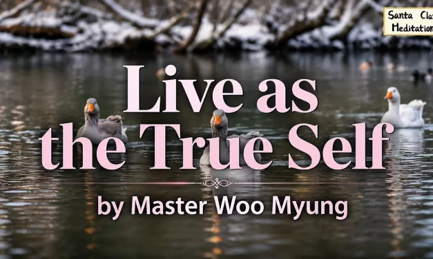 🌤️ LIVE AS THE TRUE SELF: ALIGNING WITH NATURE AND TRUTH BEYOND JUDGMENT | MASTER WOO MYUNG | SANTA CLARA MEDITATION