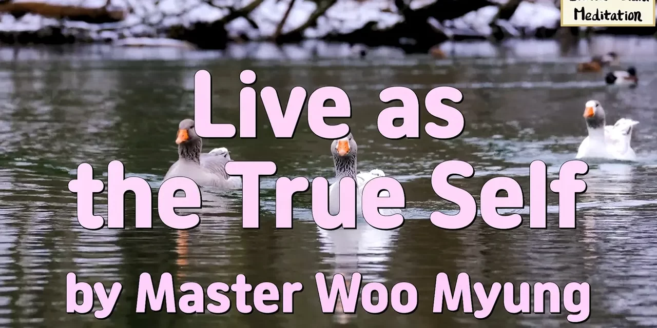 🌤️ LIVE AS THE TRUE SELF: ALIGNING WITH NATURE AND TRUTH BEYOND JUDGMENT | MASTER WOO MYUNG | SANTA CLARA MEDITATION