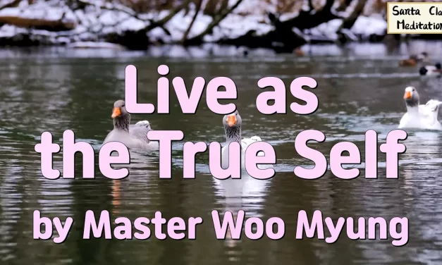 🌤️ LIVE AS THE TRUE SELF: ALIGNING WITH NATURE AND TRUTH BEYOND JUDGMENT | MASTER WOO MYUNG | SANTA CLARA MEDITATION