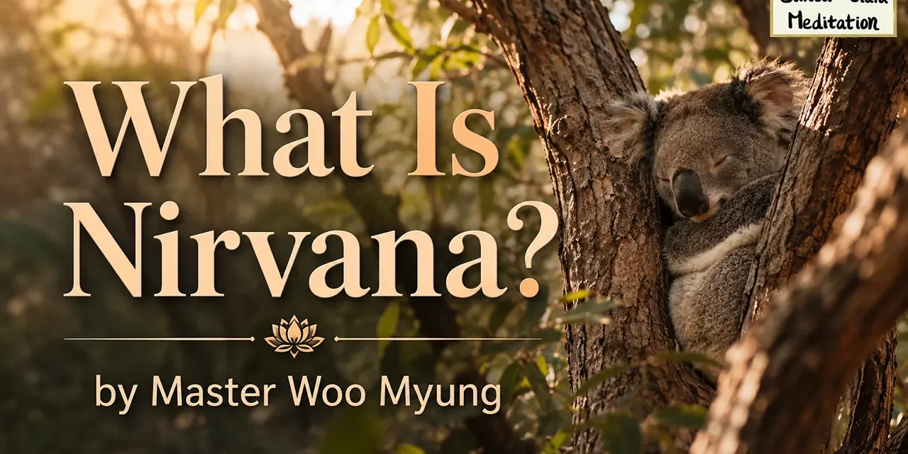 🪷 What Is Nirvana?: true world mind liberation self-disappearance | Master Woo Myung | Santa Clara Meditation
