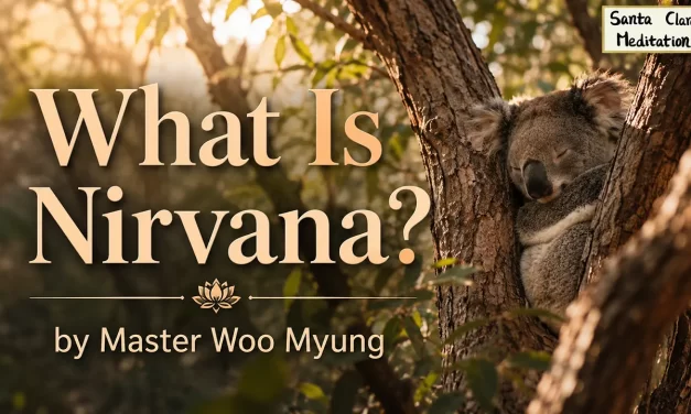 🪷 What Is Nirvana?: true world mind liberation self-disappearance | Master Woo Myung | Santa Clara Meditation