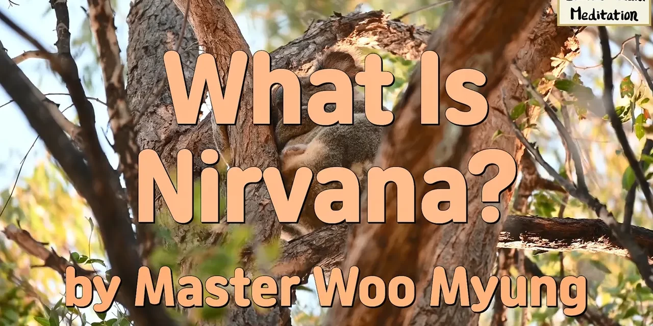🪷 What Is Nirvana?: true world mind liberation self-disappearance | Master Woo Myung | Santa Clara Meditation
