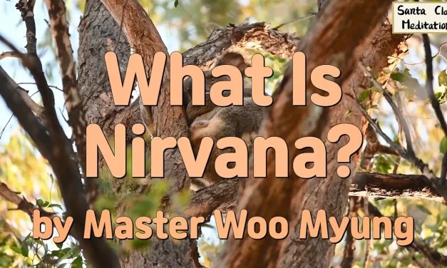 🪷 What Is Nirvana?: true world mind liberation self-disappearance | Master Woo Myung | Santa Clara Meditation