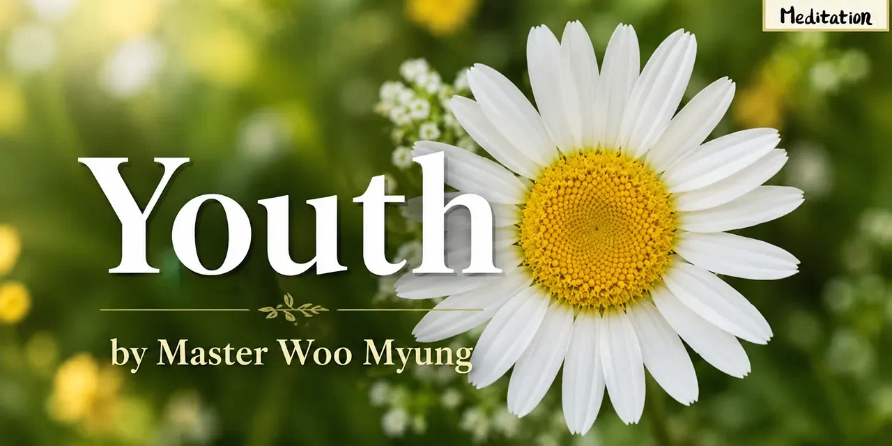 ๐ธ Youth: Impermanence, Letting Go, Natural Flow | Master Woo Myung | Santa Clara Meditation