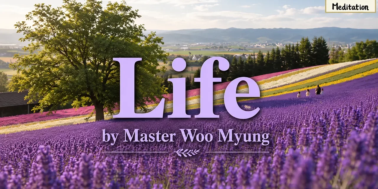 🌱 Life: Beyond Living and Dying—What It Really Means to Exist | Master Woo Myung | Santa Clara Meditation