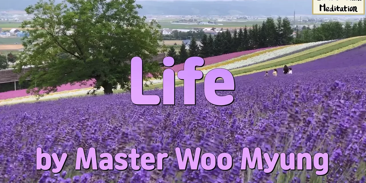 🌱 Life: Beyond Living and Dying—What It Really Means to Exist | Master Woo Myung | Santa Clara Meditation