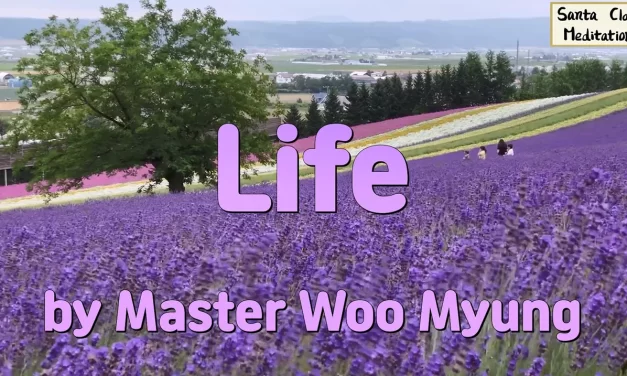 🌱 Life: Beyond Living and Dying—What It Really Means to Exist | Master Woo Myung | Santa Clara Meditation