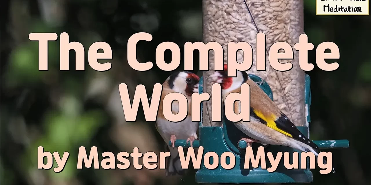🌍 THE COMPLETE WORLD: WHERE MAN LIVES ETERNALLY BY BECOMING ONE WITH THE UNIVERSE | MASTER WOO MYUNG