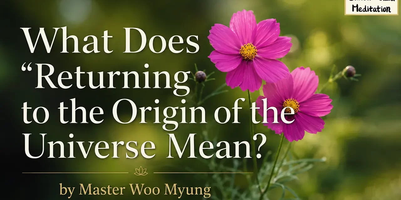 ๐
RETURNING TO THE ORIGIN OF THE UNIVERSE: KNOWING THE ORIGINAL SELF THAT IS NON-EXISTENCE | MASTER WOO MYUNG | SANTA CLARA MEDITATION
