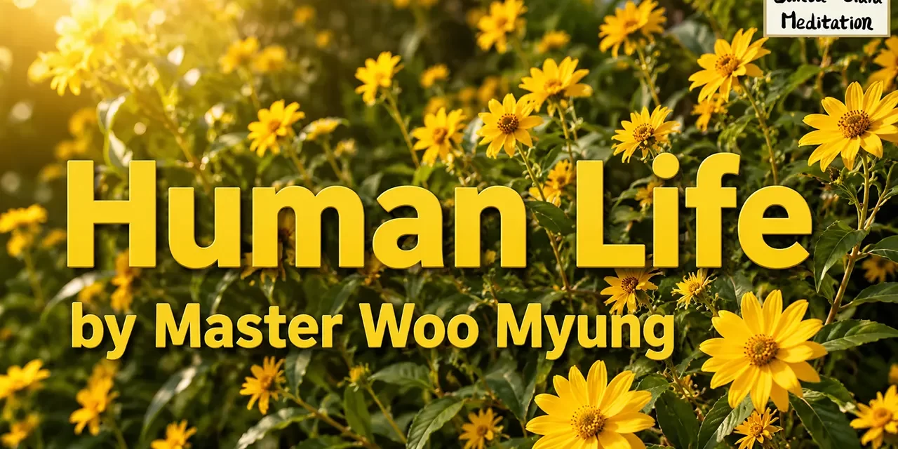 ποΈ Human Life: Cast Off What Is False and Discover the Truth Within | Master Woo Myung | Santa Clara Meditation