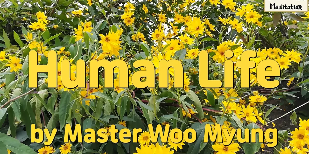 🕊️ Human Life: Cast Off What Is False and Discover the Truth Within | Master Woo Myung | Santa Clara Meditation