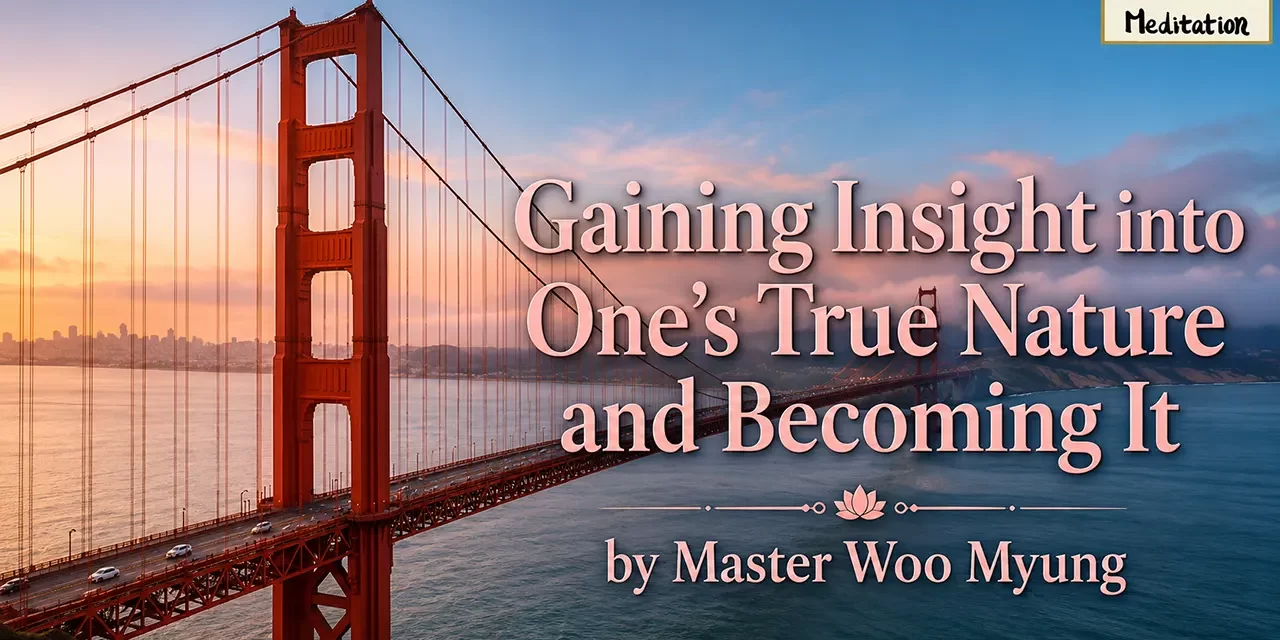 ๐ GAINING INSIGHT INTO ONEโS TRUE NATURE AND BECOMING IT: FROM SEEING TRUTH TO LIVING AS TRUTH | MASTER WOO MYUNG | SANTA CLARA MEDITATION