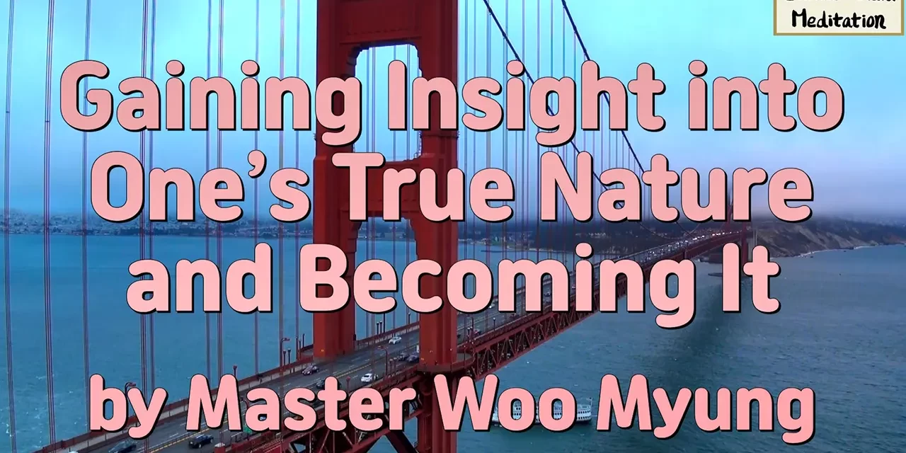 🌈 GAINING INSIGHT INTO ONE’S TRUE NATURE AND BECOMING IT: FROM SEEING TRUTH TO LIVING AS TRUTH | MASTER WOO MYUNG | SANTA CLARA MEDITATION