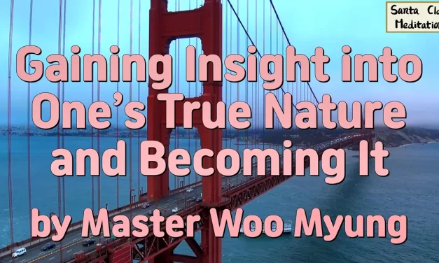 🌈 GAINING INSIGHT INTO ONE’S TRUE NATURE AND BECOMING IT: FROM SEEING TRUTH TO LIVING AS TRUTH | MASTER WOO MYUNG | SANTA CLARA MEDITATION