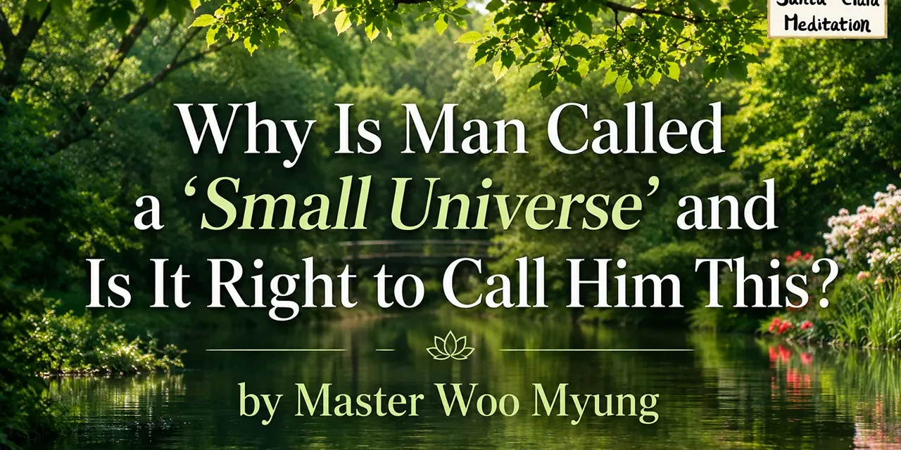 š Why Is Man Called a āSmall Universeā and Is It Right to Call Him This? | MASTER WOO MYUNG | SANTA CLARA MEDITATION